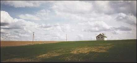 Rolling Farmland in Western Washington